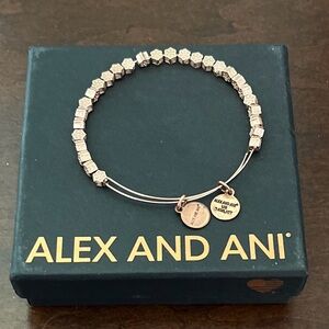 Alex and Ani Hexagonal Charm Bracelet in Rose Gold